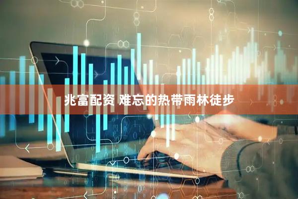 兆富配资 难忘的热带雨林徒步