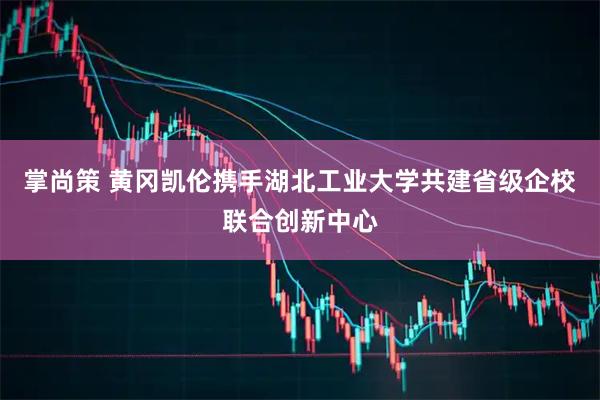 掌尚策 黄冈凯伦携手湖北工业大学共建省级企校联合创新中心
