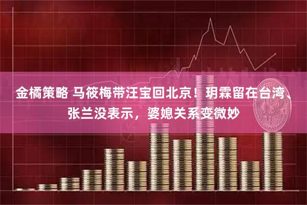 金橘策略 马筱梅带汪宝回北京！玥霖留在台湾、张兰没表示，婆媳关系变微妙